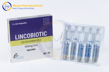 LINCOBIOTIC 600MG INJ (Lincomysin) - Epharma